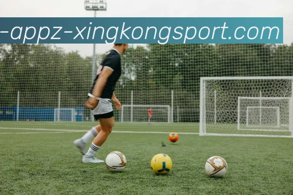 App Interface Preview