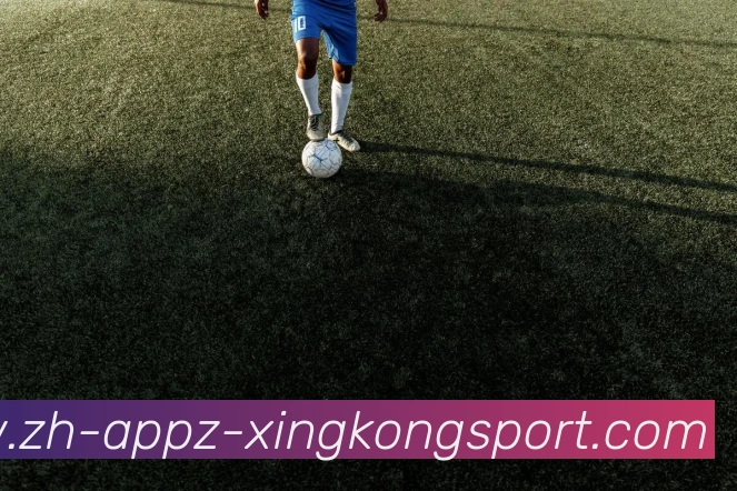 星空体育APP 封面图